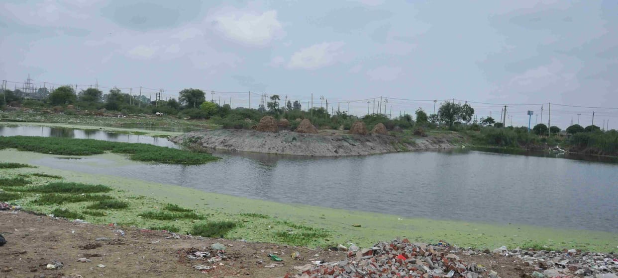 Expected to get a budget of 9 crores for the revitalization of four ponds