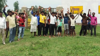 Even after being a cow shelter, stray animals are destroying crops