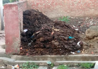 Ramtal's pucca ghat became a shelter for animals