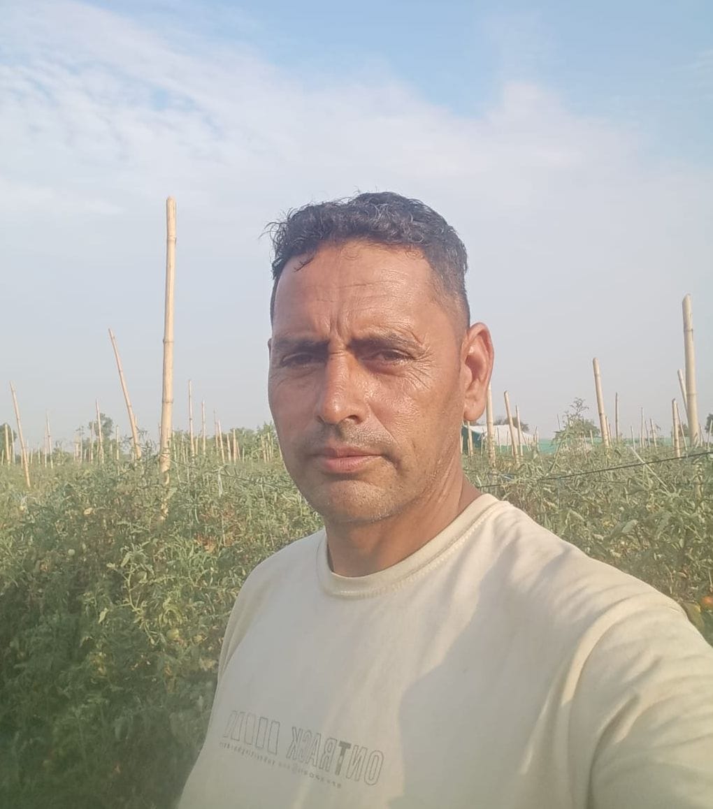 Surendra of Sandil did wonders by selling tomatoes