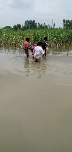 Ganga's water level rises again, Kharif crops destroyed