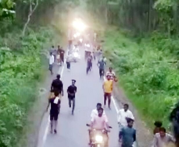 Taking selfie with elephants was costly, ran away