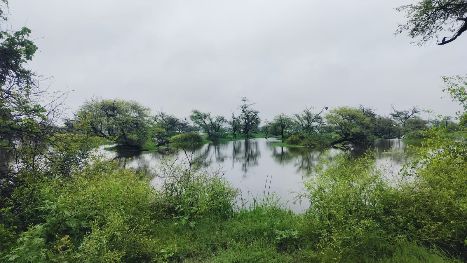 केवलादेव राष्ट्रीय पक्षी उद्यान 