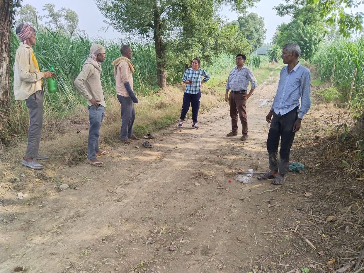 Panic due to movement of tiger and leopard in Selha village