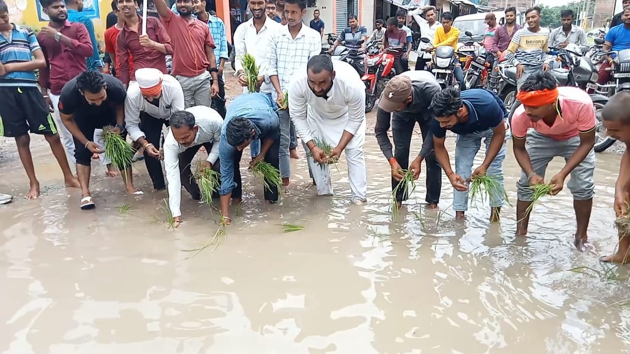 SP planted paddy in waterlogged road in Sohanpur