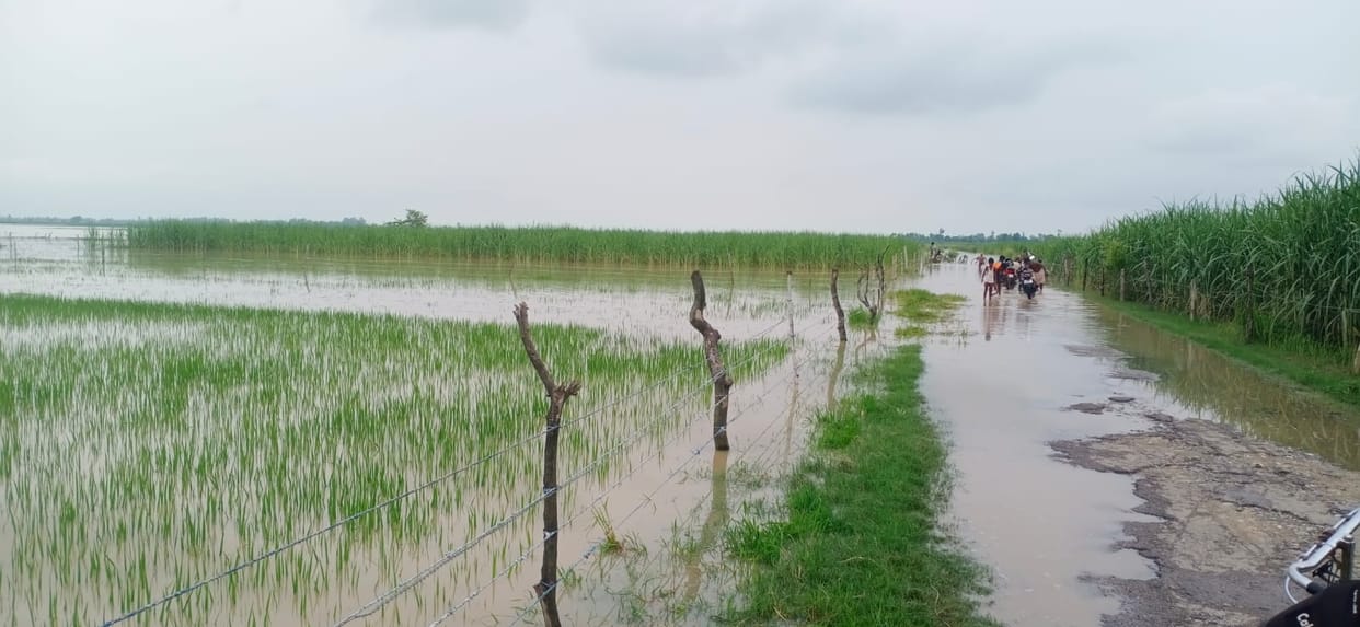 Sharda river havoc in Phulbehad and Bijua