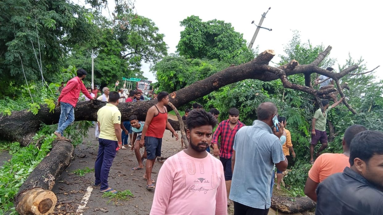 Some relief from the rain, some trouble, electricity and traffic disrupted due to falling trees