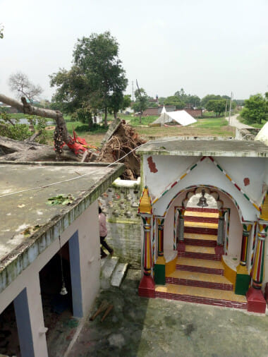 Peepal tree fell, devotees narrowly escaped