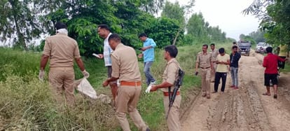 Remains of protected animal found in sugarcane field, report filed