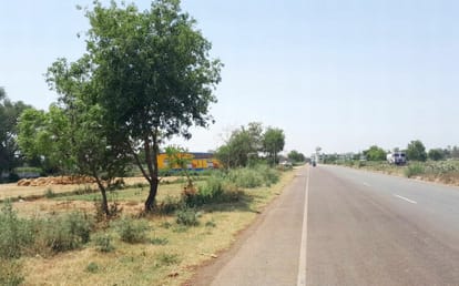 Saw will run on trees along Bareilly-Mathura highway, counting begins