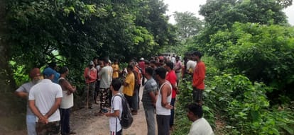 Tiger seen sitting in the bushes of Hardoi branch canal track