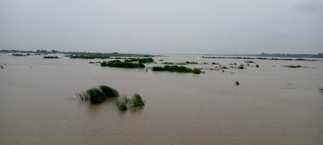 Saryu's water