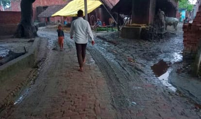 Flood water decreased but mosquito-diseases increased