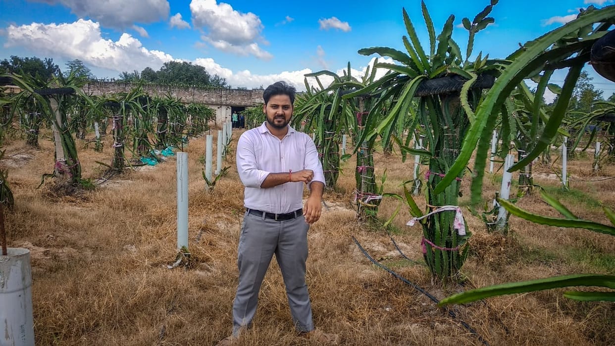Dragon fruit will change the fate of farmers, government is helping