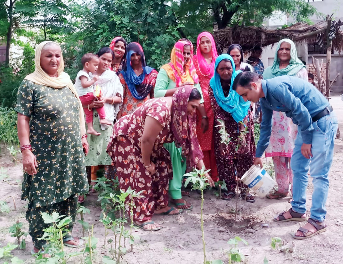 Women showed enthusiasm in planting saplings, planted 28 thousand saplings in seven blocks