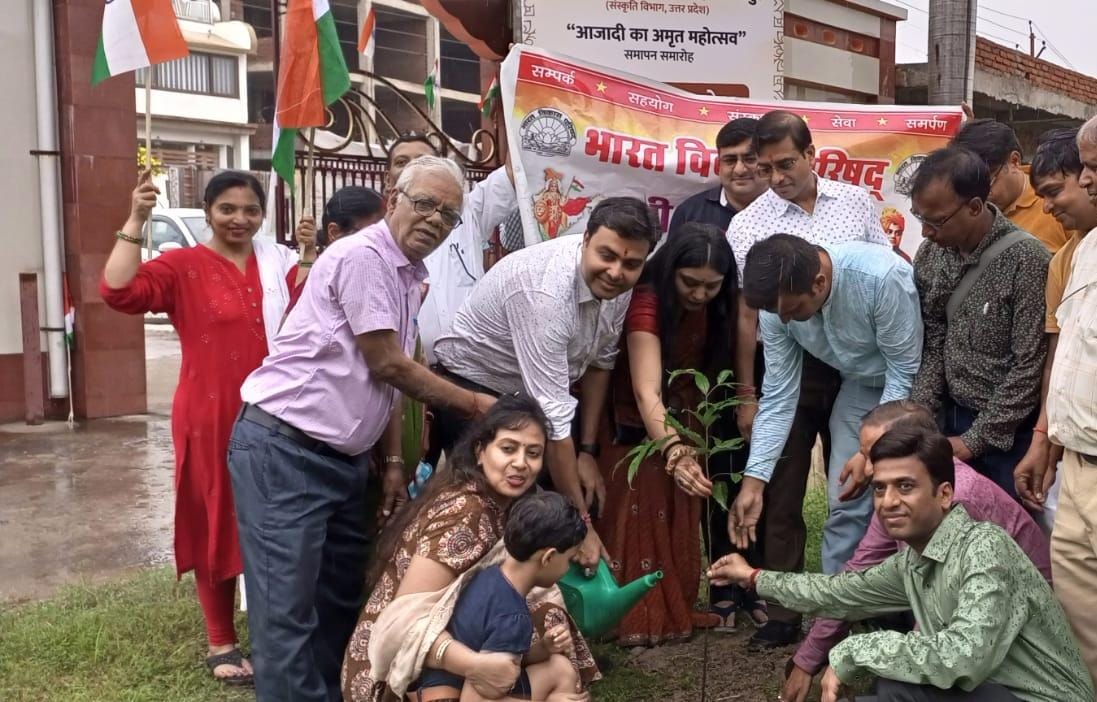 tree plantation