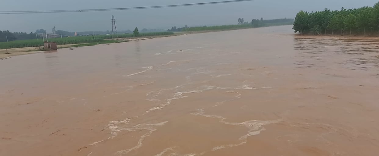 Markanda's water level increased due to cloudburst