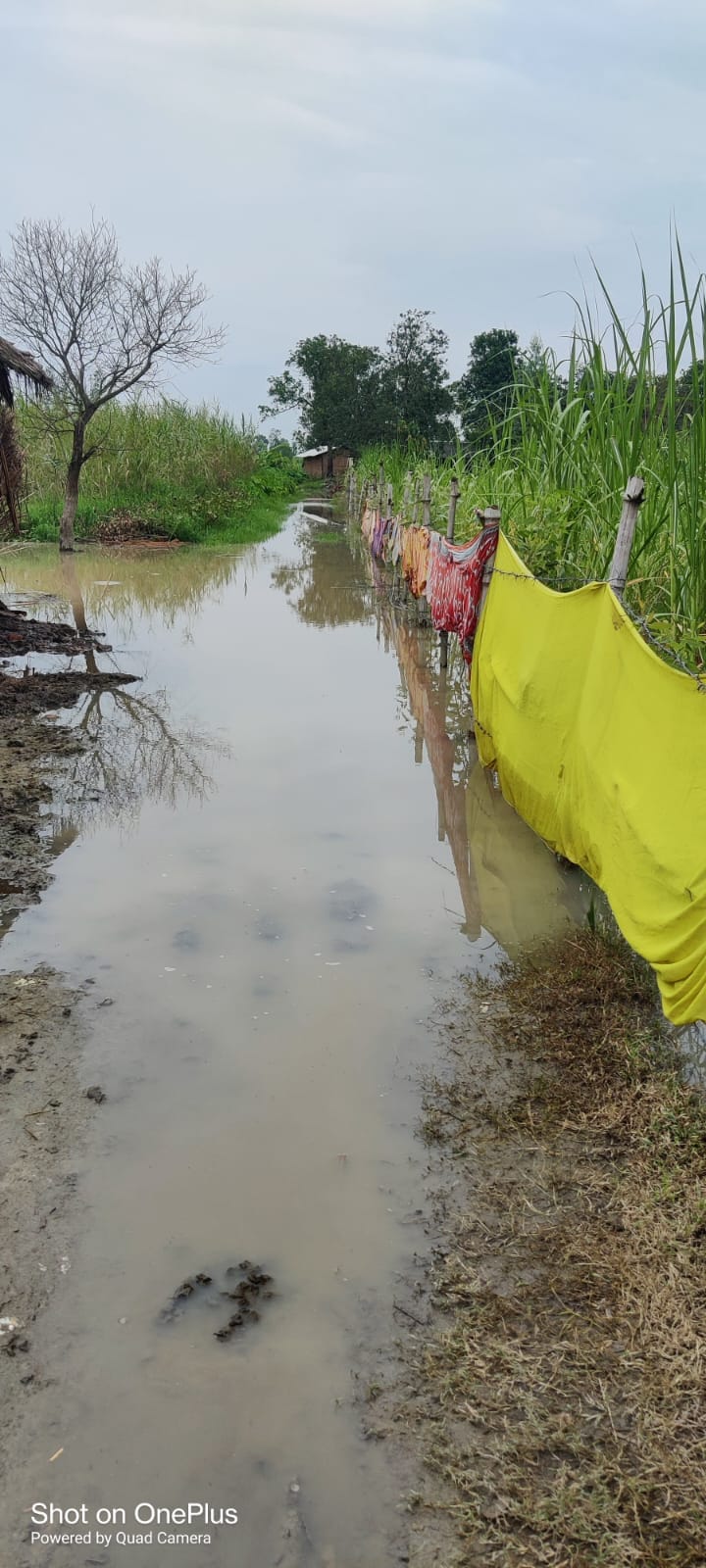 The people of the coastal villages were scared to see the fierce form of the Sharda river.