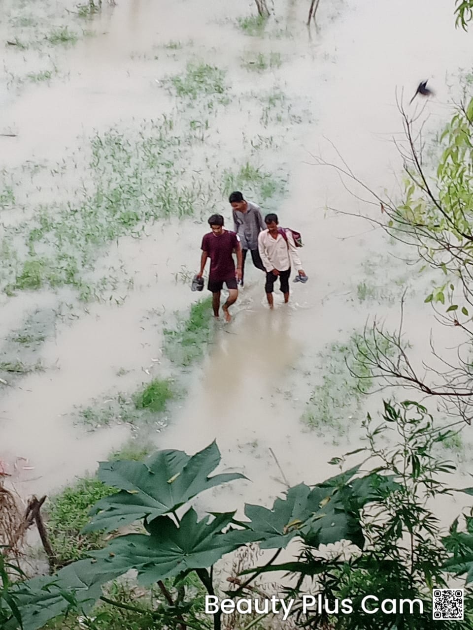Ganga water reaches above danger mark, alert issued