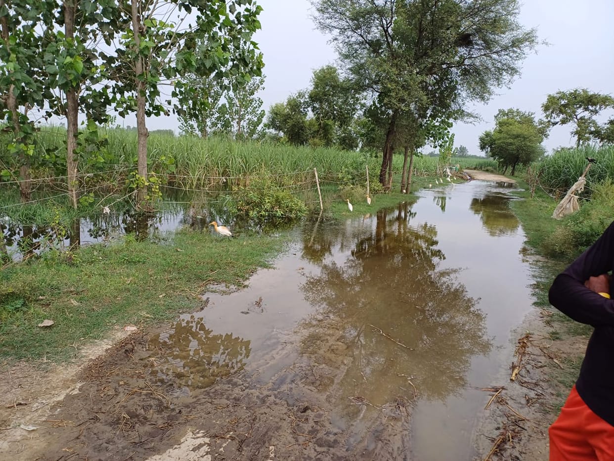 Ban on going to Ganga Ghat and fields