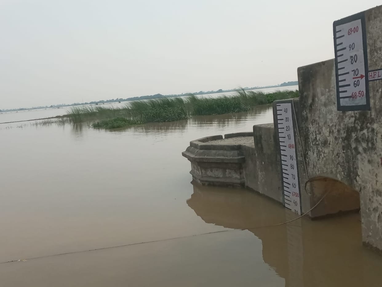 Saryu again on the rise, 15 cm lead