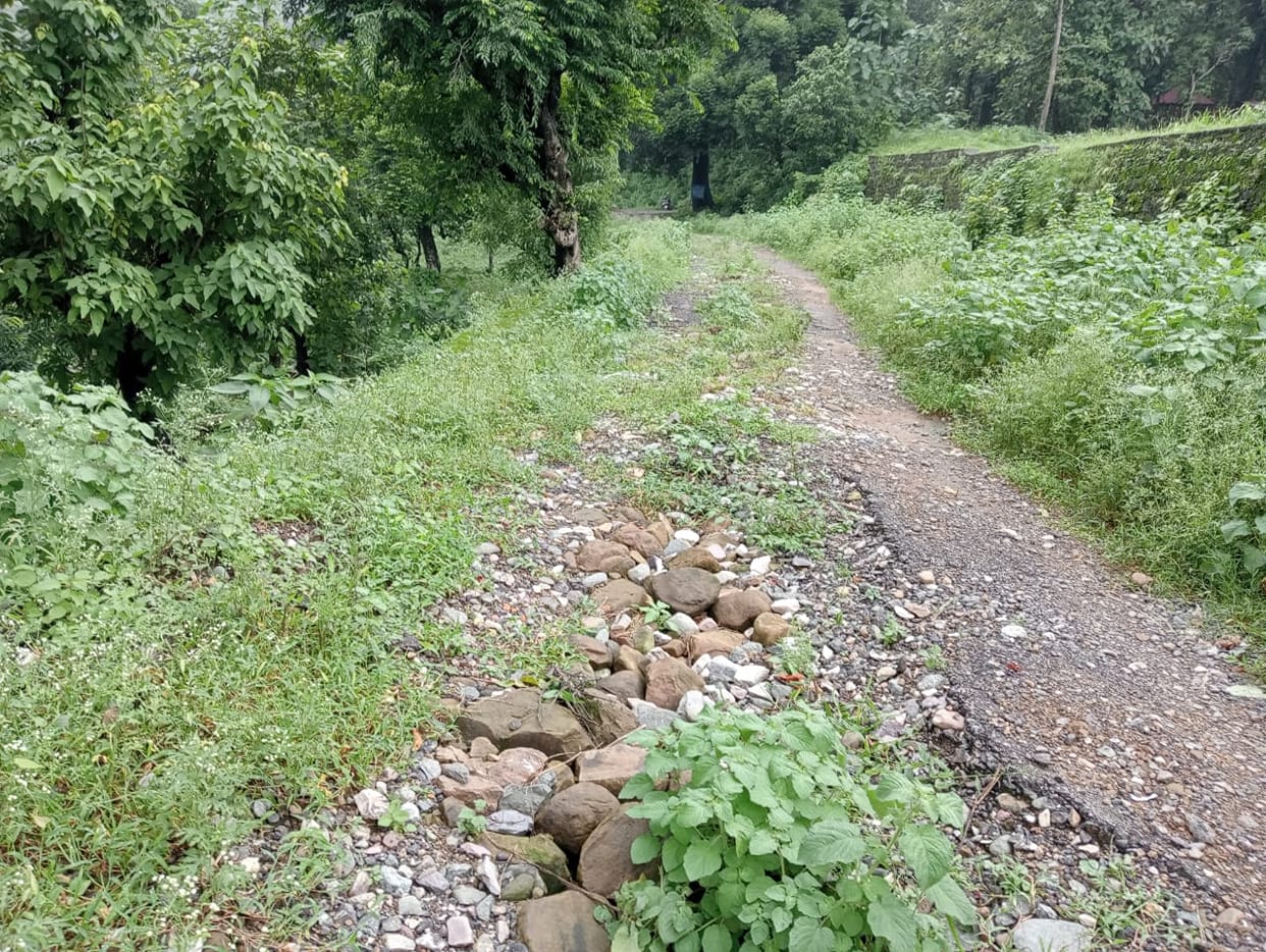 Digging the road to lay the line, still no water found