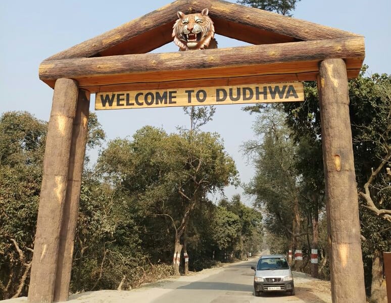 Dudhwa: Proposal of 13 crores to improve the natural habitat of tigers
