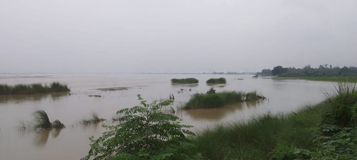 Saryu reached closer to the red mark, concern increased