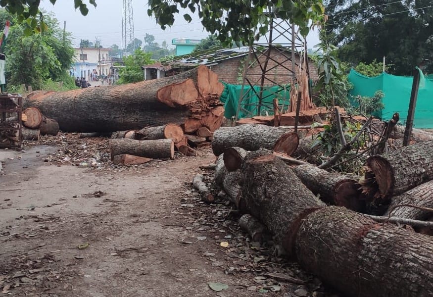 Rural contact road blocked due to fallen trees