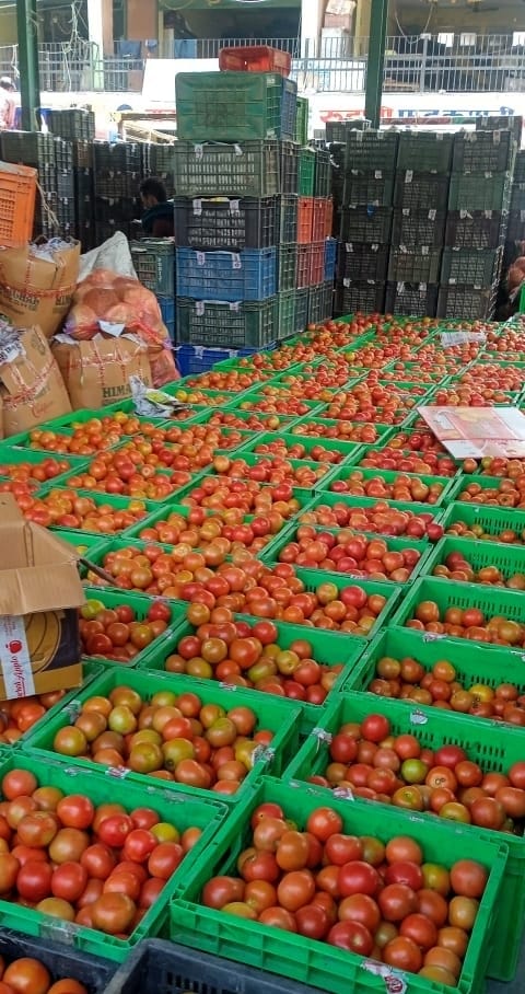 Now the prices of tomatoes fell in the shops, reached Rs 60 per kg
