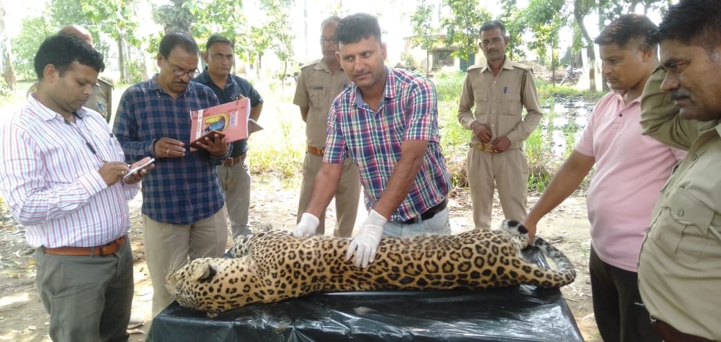 Guldar found dead on Haridwar-Kashipur highway