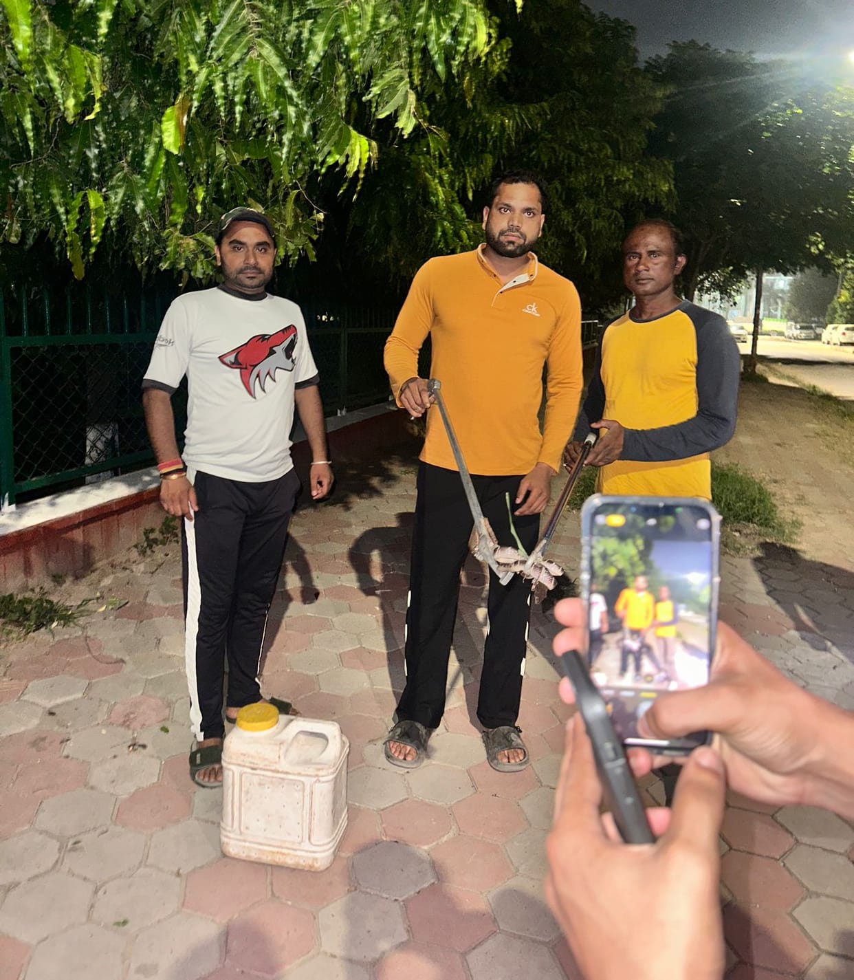 Common krait snake found in Shivalik Garden