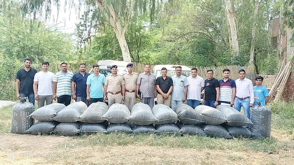 Four quintals of poppy seeds worth 25 lakh recovered from the ruined building of government school