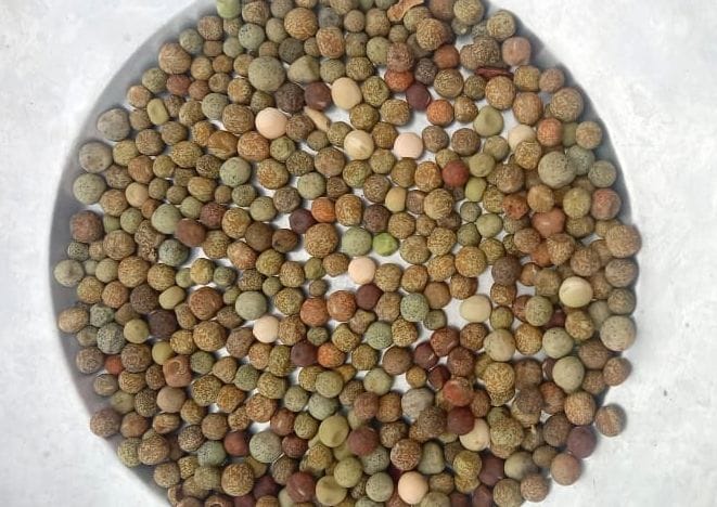 less Panchnaj in askot