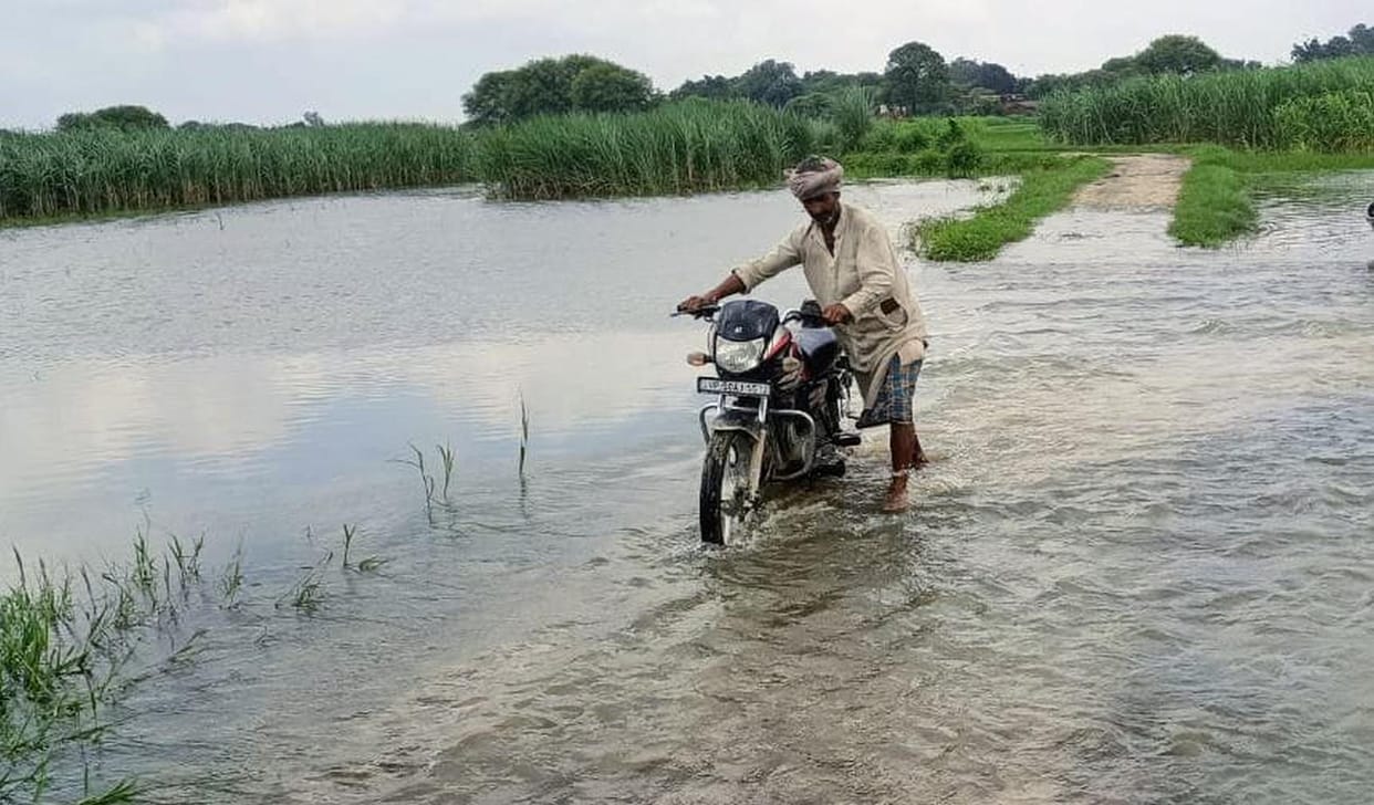 farm in river
