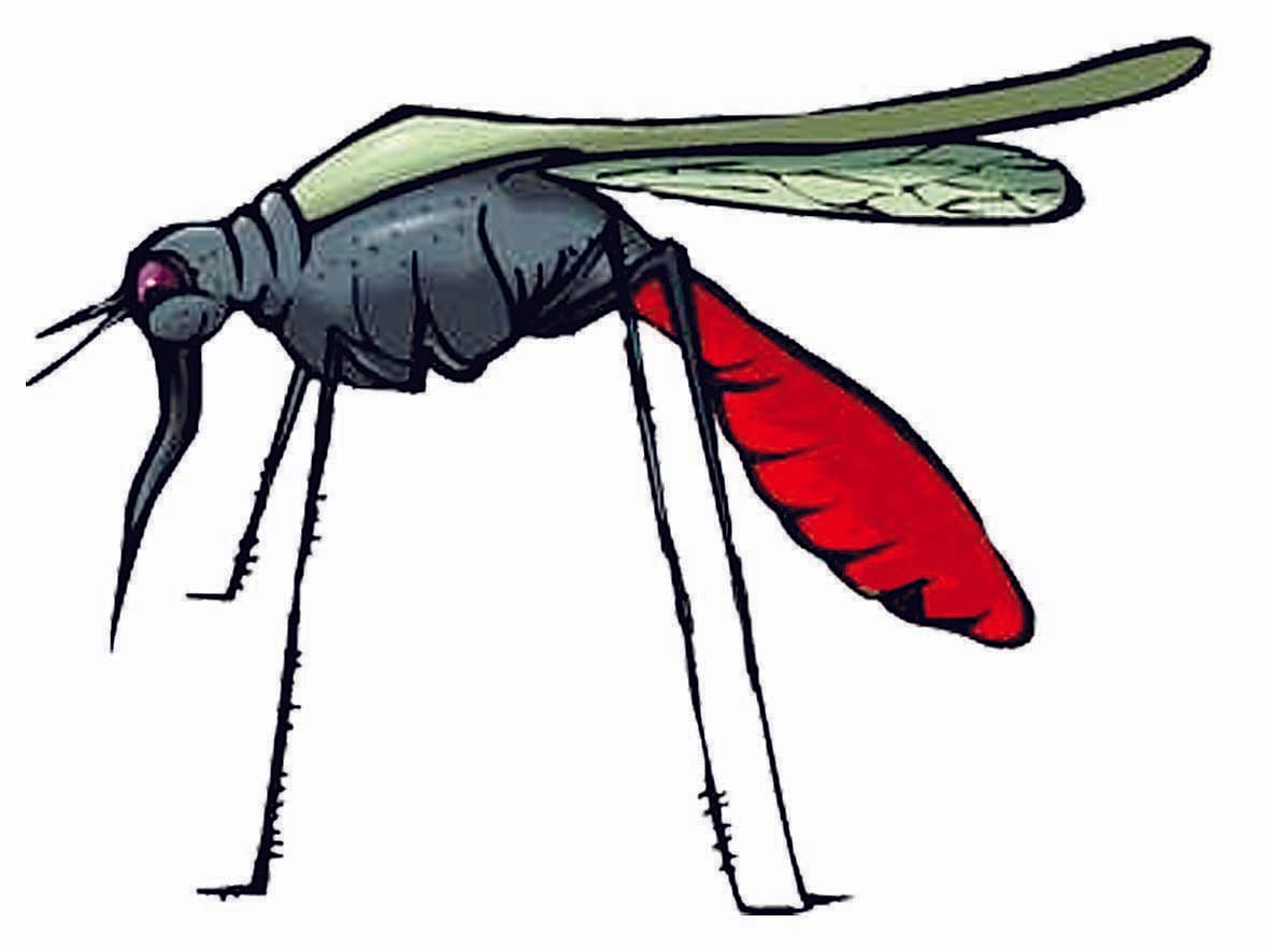 Dengue will be tested in private lab for Rs 500