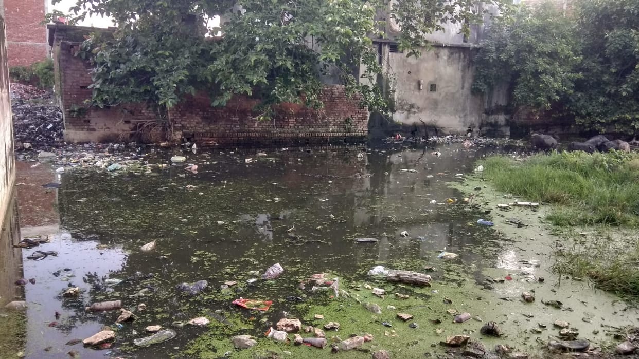 Dengue has spread its wings, now the government should wake up