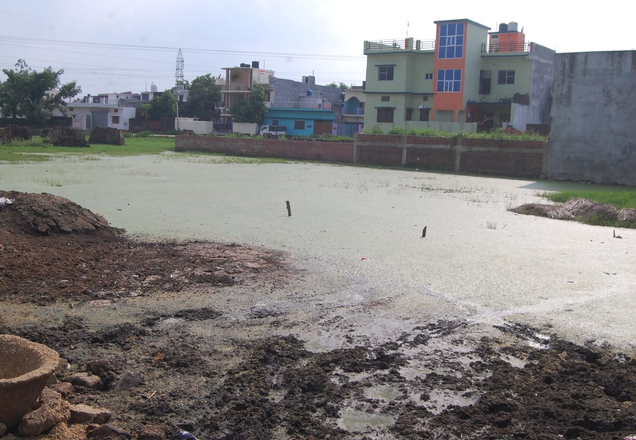 There is waterlogging around the houses, so be aware, nine types of mosquitoes are sucking blood
