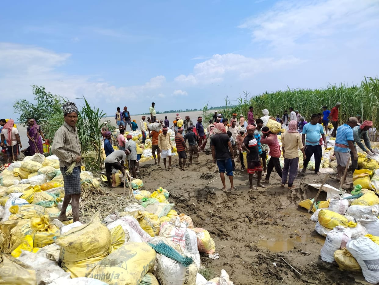 Cutting slowed down, villagers got relief