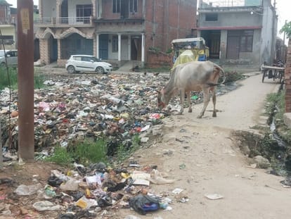 Dengue: Deaths occurred last year, still the situation is worsening