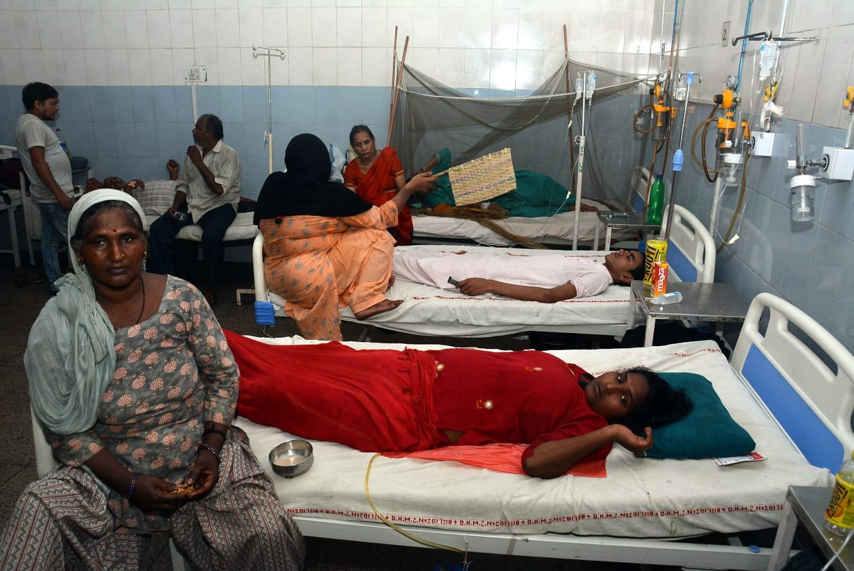Eight dengue patients were found, one was admitted to the hospital