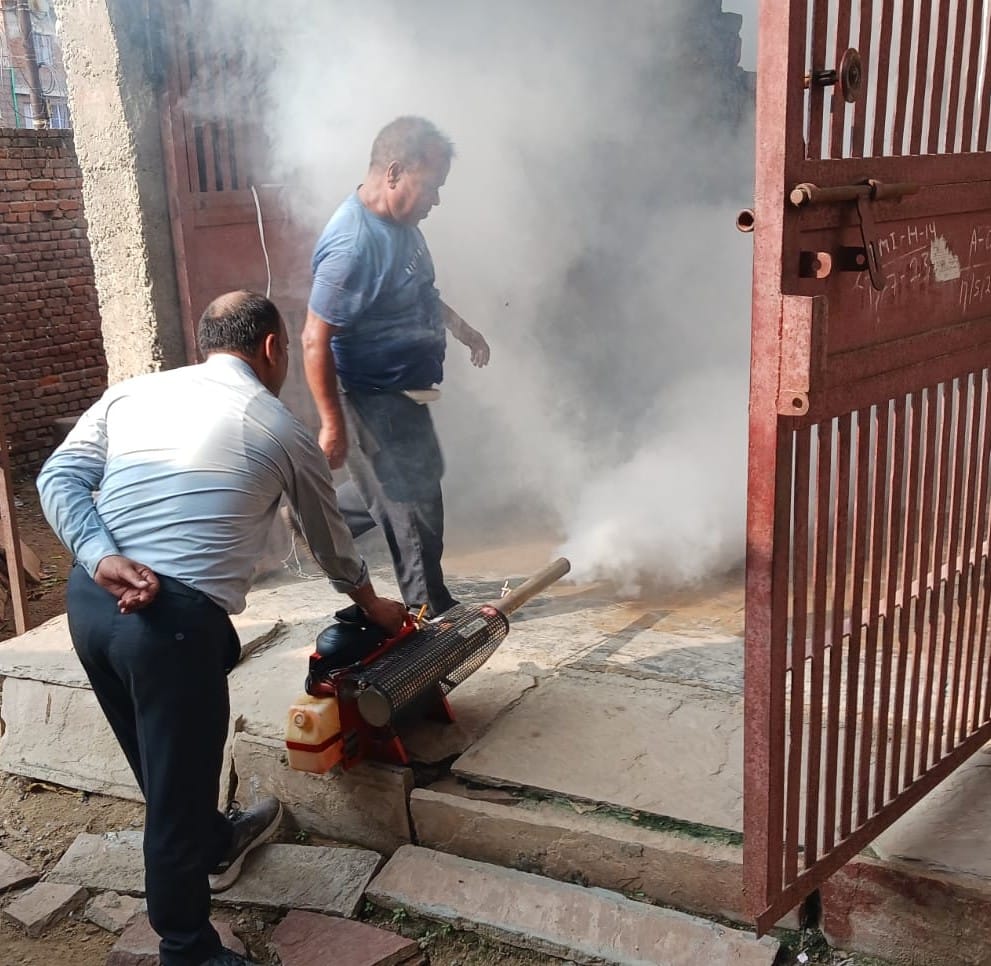 Three more dengue infected