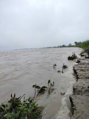 Sharda continues to wreak havoc, 117 acres of sugarcane crop has entered the river