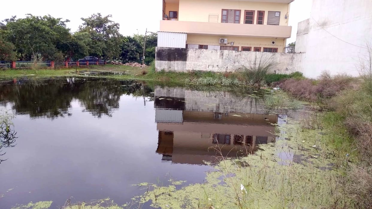 62 thousand houses searched for dengue investigation, notice to 1721