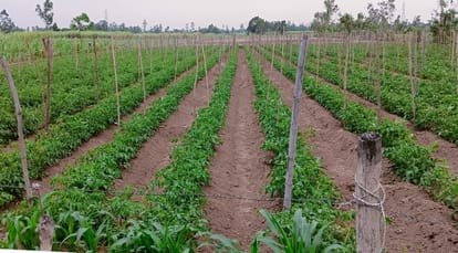 Lok Sabha Election : agriculture issue in jammu kashmir Leaders harvesting votes no permanent market for farme