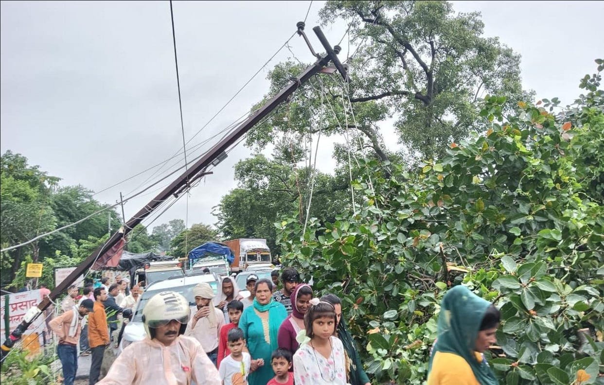 Tree fell in front of Naugaja Pir due to rain, jammed