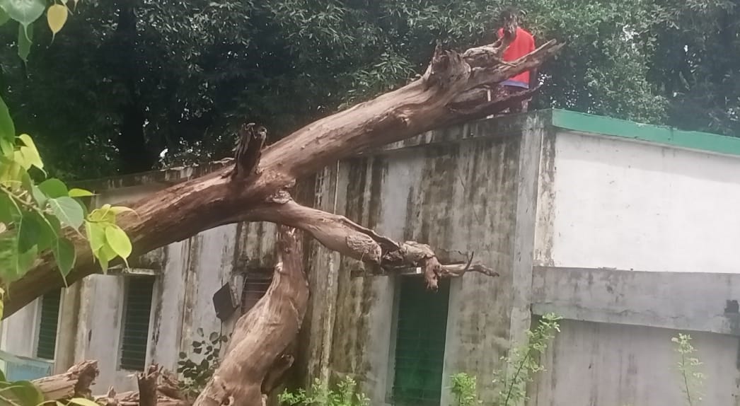 weather rain fall