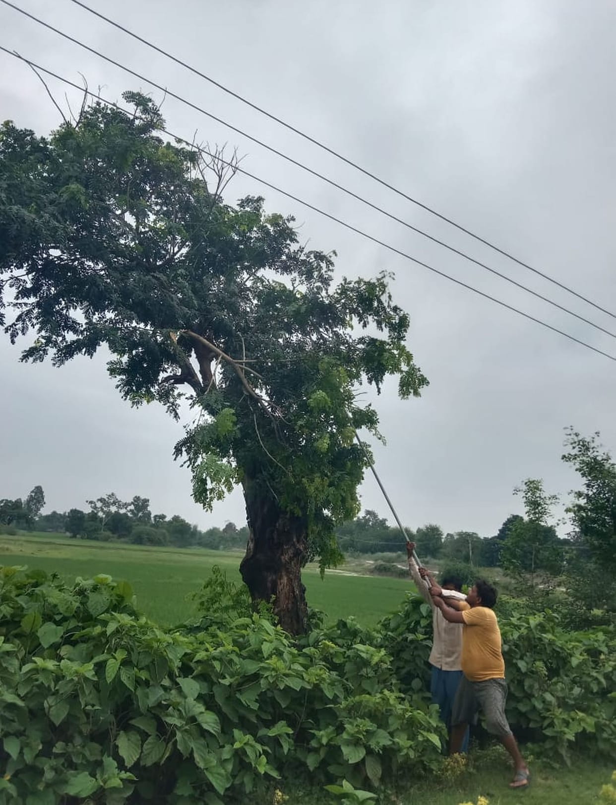 Jaisinghpur sub-centre stalled all night