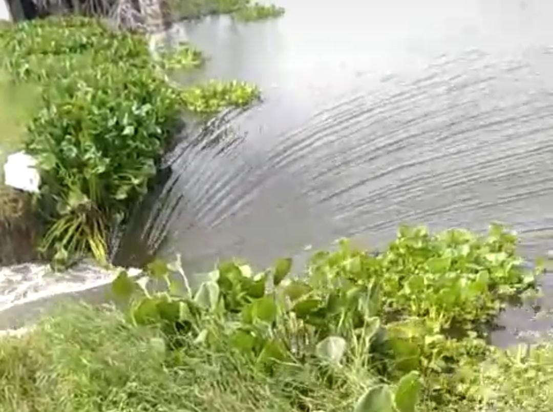Mamour lake broke again after overflowing, submerged crops