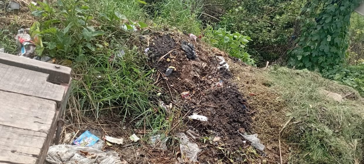 Scavengers confined to government offices, officers and houses of chiefs